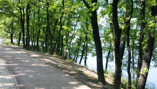 Bashkia e Tiranes: Ja cilet jane parqet qe do ti shtohen kryeqytetit